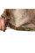 Куртка Stalker 3.0 Twill Multicam (7134), XS