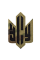 Патч Camotec ЗСУ (Герб) 6*4 Multicam (8641)