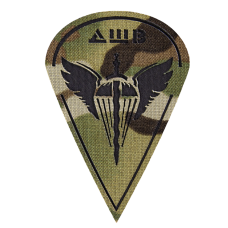 Патч/Липучка Camotec ДШВ 9.5*6.5 Multicam (8631)