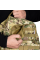 Рюкзак Dash Multicam (6673)