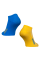 Шкарпетки Ukraine Жовто-блакитні (7152), 39-42
