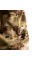 Спортивний костюм FitPro Zip LT Multicam (8574), 3XL
