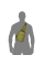 Сумка Adapt Олива (7231)