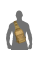 Сумка COB Sling Койот (7117)