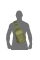Сумка COB Sling Олива (7118)