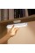 Світильник Baseus Magnetic Stepless Dimming Charging Desk Lamp Pro White (DGXC-02)