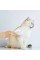 Пуходірка-слікер PETKIT Pet Grooming Brush2 (PETKIT-PGB2)