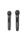 Портативна колонка ACEFAST K1 Party karaoke all-in-one audio set Black (AFK1B)