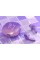 Бездротові навушники ACEFAST T9 Crystal (Air) color bluetooth earbuds Grape Purple (6974316282563)