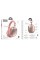 Бездротові навушники HOCO W35 Max Joy BT headphones Pink (6942007625593)
