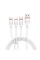 Кабель BOROFONE BX17 3-in-1 Enjoy charging cable for iP+Micro+Type-C White (6957531099369)