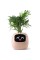Інтерактивний розумний горщик для рослин Ivy Smart Planter Tuya AI, Pink (ISPTAP)