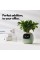 Інтерактивний розумний горщик для рослин Ivy Smart Planter Tuya AI, Pink (ISPTAP)