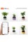 Інтерактивний розумний горщик для рослин Ivy Smart Planter Tuya AI, Purple (ISPTAPR)