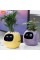 Інтерактивний розумний горщик для рослин Ivy Smart Planter Tuya AI, Purple (ISPTAPR)