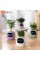Інтерактивний розумний горщик для рослин Ivy Smart Planter Tuya AI, Purple (ISPTAPR)