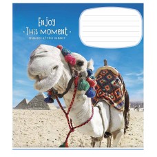 Тетрадь ученическая "Enjoy this moment" 012-2896L-1 в линию, 12 листов