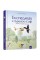 Навчальна книга Експедиція з мурахою Софі 153241