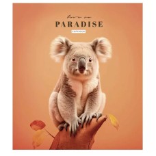 Тетрадь общая "Love in paradise" 036-3256L-3 в линию, 36 листов