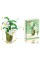 Дитячий конструктор "Квіти Epiphyllum" Flower Studio 9104A 571 деталь