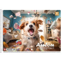 Альбом для малювання PB-SC-020-8005-2 спіраль 20 аркушів