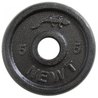 Диск стальной Home TI-0006, 5 кг, 28 мм