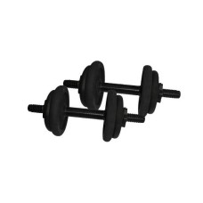 Гантели наборные литые 2 шт по 6,5 кг NE-300-GP007-2
