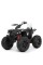 Дитячий електроквадроцикл Bambi Racer M 4795EBLR-1 до 30 кг