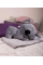 Дитяча м'яка іграшка "Коала" L1129(Grey) іграшка з пледом, розмір 50 см