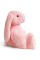 Плюшева іграшка Зайчення Міллі FWPBUNNY22LGPINK0 12 см