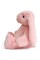 Плюшева іграшка Зайчення Міллі FWPBUNNY22LGPINK0 12 см