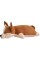 Плюшева іграшка собака Коргі Емма FWPDOGCORGI22GN00