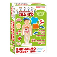 Детская развивающая игра на магнитах. Изучаем строение тела 13109081, 22 карточки в наборе