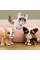 Інтерактивна іграшка "Коргі" серії "Poop-A-Lots" Furreal 28057 звукові ефекти