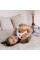 Подушка декоративна собака Коргі Нейт FWPDOGCORGI23BG50