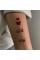Набір тимчасових тату "Любов № 2" Love-tattoo-mini-set-2-10, 12 х 7 см 10 шт