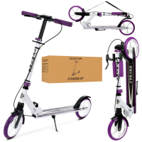 Самокат детский iTrike SR2-049-1-WV складной