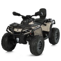 Детский электромобиль Квадроцикл M 6080EL-13(24V) до 50 кг
