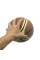 Баскетбольный мяч Team Indoor/Outdoor Composite NE-BAS-LG7 № 7