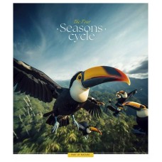 Тетрадь общая "Four seasons" 048-3403L-4 в линию, 48 листов