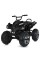 Дитячий електромобіль Квадроцикл M 5102EL-2(24V) до 50 кг