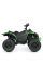Детский электромобиль Квадроцикл Bambi M 5001EBLR-5 Зеленый