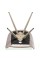 Стілець Special4You Clarry black
