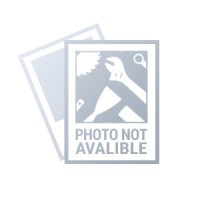 Рабочие перчатки 10, синтетическая кожа + эластичная ткань, CE GRAPHITE