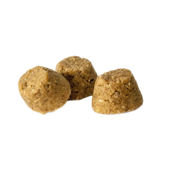 Беззерновий сухий корм для собак з козлятиною Oven-Baked Tradition Capra 1,81 кг