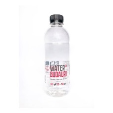 Вода мінеральна природна не газована Water+GUDAURI 0,5 л