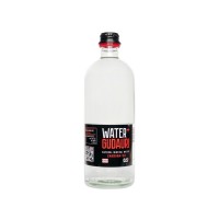 Вода минеральная природная газированная Water+GUDAURI 0,5 л