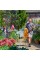 Шланг 25 м розтяжний Wonderhoze + конектори Hozelock