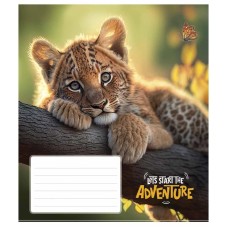 Тетрадь ученическая "Adventure" 018-3291K-1 в клетку, 18 листов