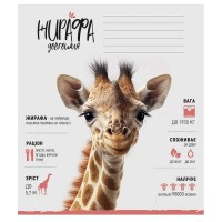 Зошит учнівський "Africa Animals" 012-3279K-3 в клітку, 12 аркушів